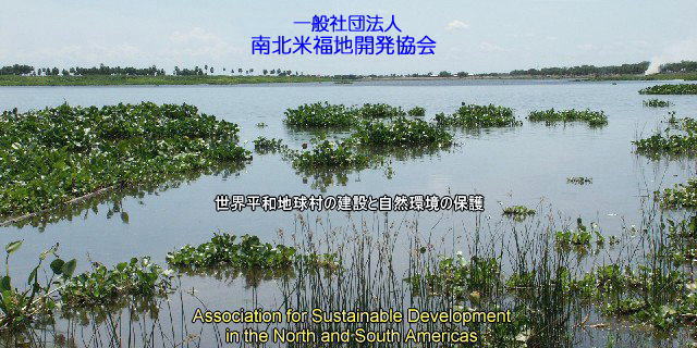 レダ基地遠景バナー