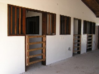 馬のお部屋って、結構素敵ですね