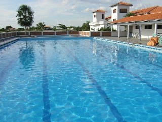 珊瑚の海のように青く澄んだ水がいっぱい