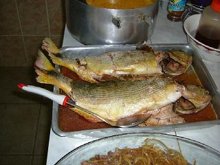 エコツアー写真