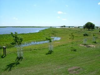 エコツアー写真