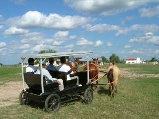 エコツアー写真