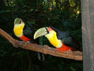 エコツアー写真