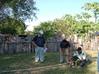 巻尺をピンと引っ張って、性格に杭を打ちます