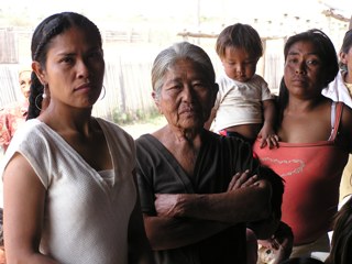 �q�A��̂��ꂳ���A���΂����񂽂����Q��