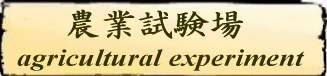 Agricultural Experiment 農業試験場