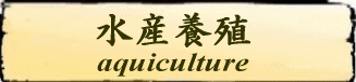 Aquiculture 魚の養殖