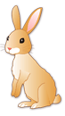 うさぎ 右