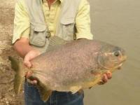 養殖のページへ