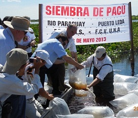 稚魚を放流するフランコ大統領