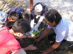 木と共に心の絆が育つでしょう