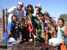 1本の木が植わったというお祝いです