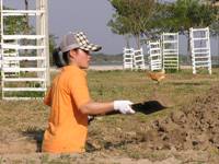植樹活動のページへ