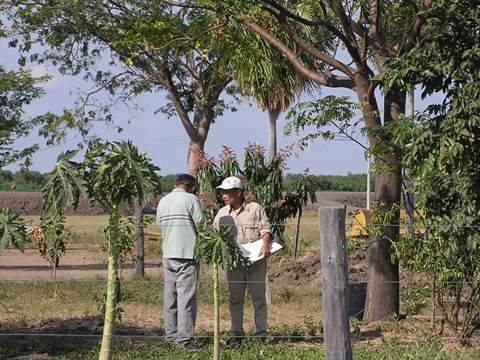 すべての樹に番地をつける作業です。