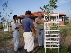 育成中の木の点検